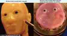 Creepy: Experts made special perforations in a robot face, which helped a layer of skin take hold
