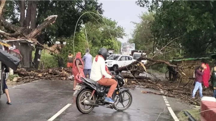 rain in up