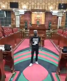 A protestor who recorded himself in Parliament on June 25, 2024