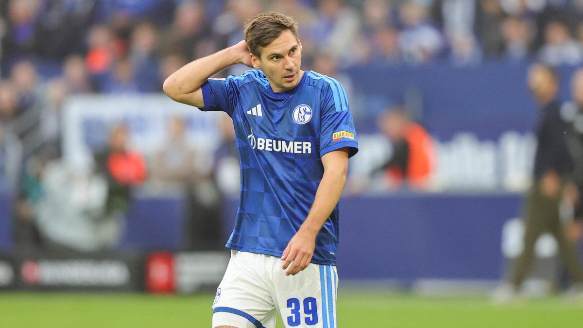 Im Trikot des FC Schalke 04: Maximilian Wöber