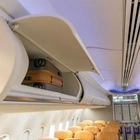 An airplane passenger was spotted in an overhead bin. Here’s why that’s a terrible idea