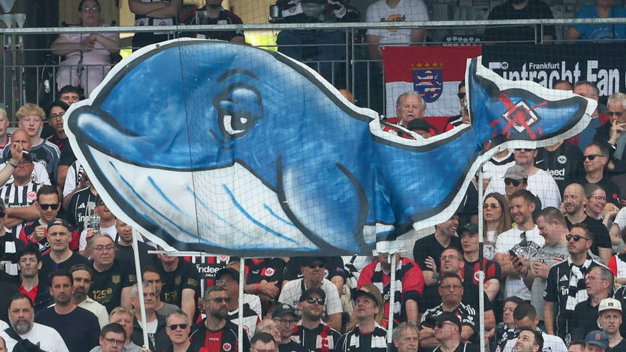 Dieser Wal aus dem Aufeinandertreffen im Mai war wohl der Auslöser