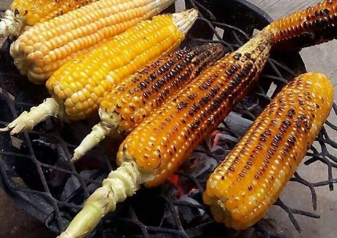 9-health-benefits-of-eating-roasted-maize-in-the-body-opera-news