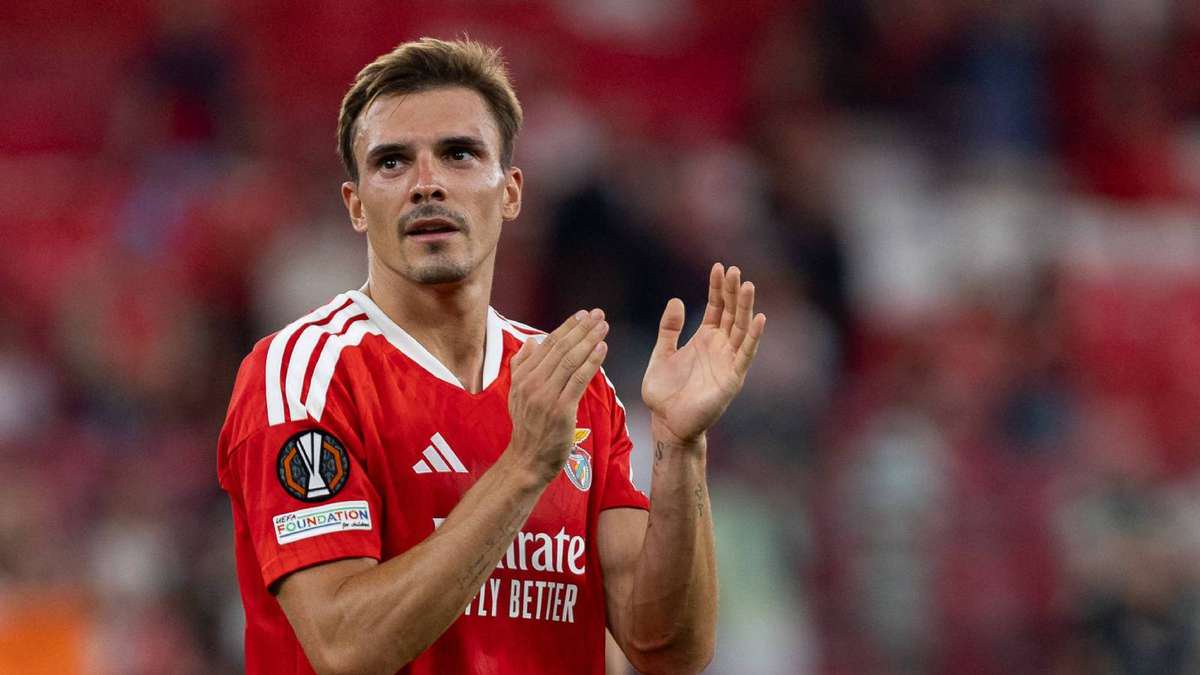 Joao Palhinha Benfica