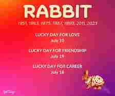 rabbit july 2024 chinese zodiac horoscope