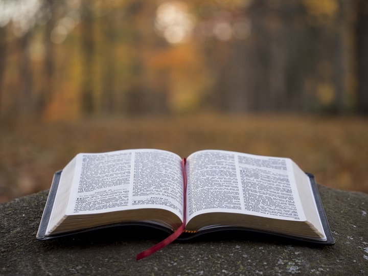 750+ Bible Reading Pictures | Download Free Images on Unsplash