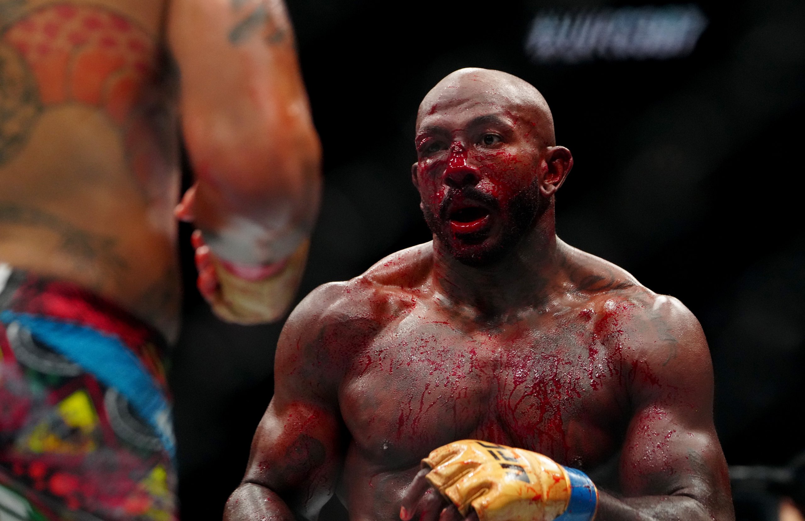 ufc light heavyweight rankings