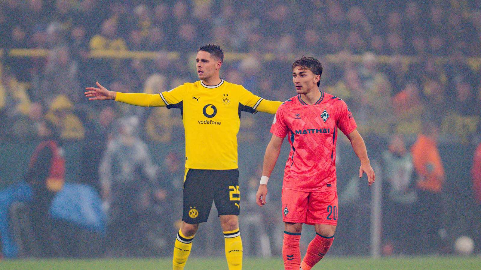 BVB Veerman