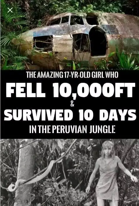 Story 17yr-old Girl Fall 10,000ft From Plane Survived 10days Jungle