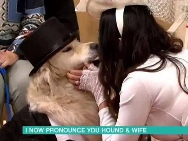 Meet the woman who married her dog after 221 failed relationships - Photos