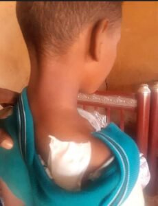 c2a4c9bbbb2cfa8c83bd9045b6b352b0?source=nlp&quality=hq&format=webp&resize=720