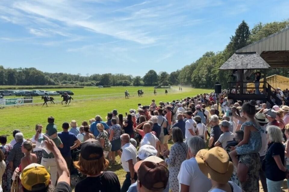Sept courses figurent au programme, samedi 8 août, à l'Hippodroipe de la forêt.