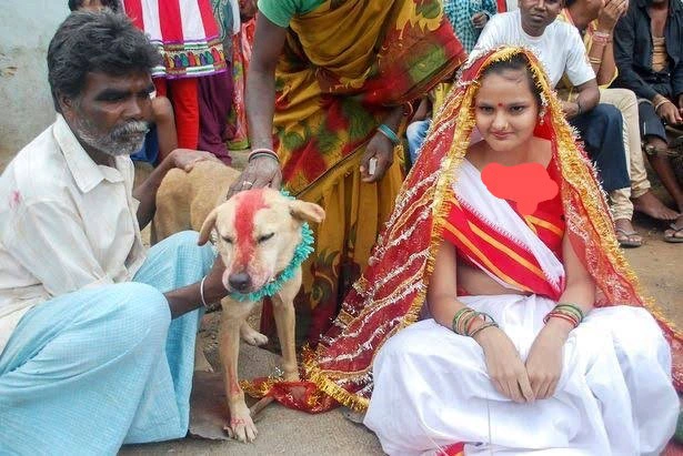 Meet this beautiful lady who happily married a dog (Photos)