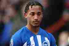 Brighton striker Joao Pedro