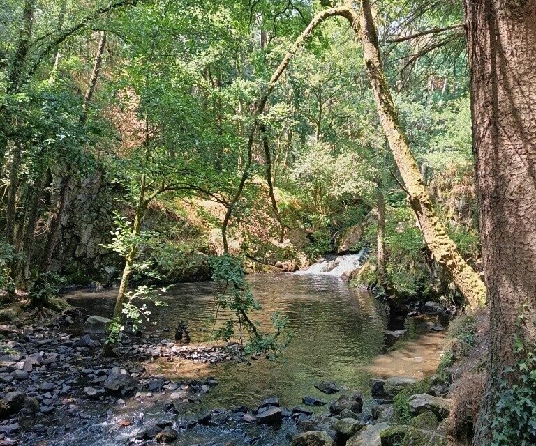 Zone Natura 2000 La Fosse Arthour, Sud Manche