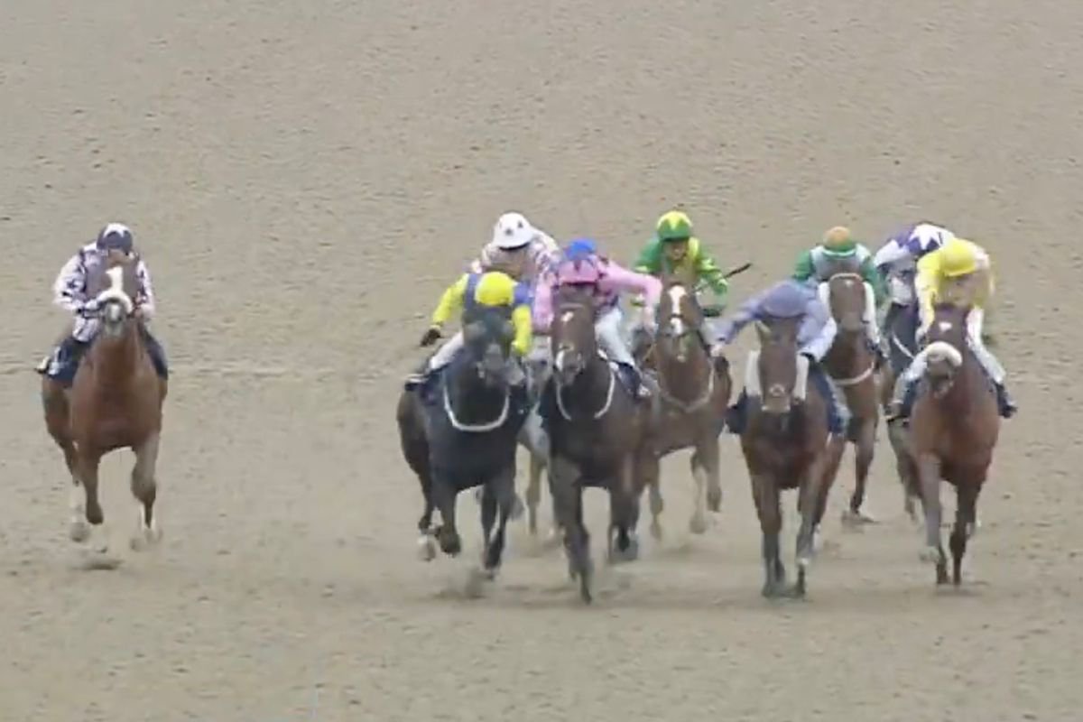 Billy Loughnane was given a two-day ban for careless riding at Wolverhampton after his winner, Yehudi, bumped runner-up Palliser 