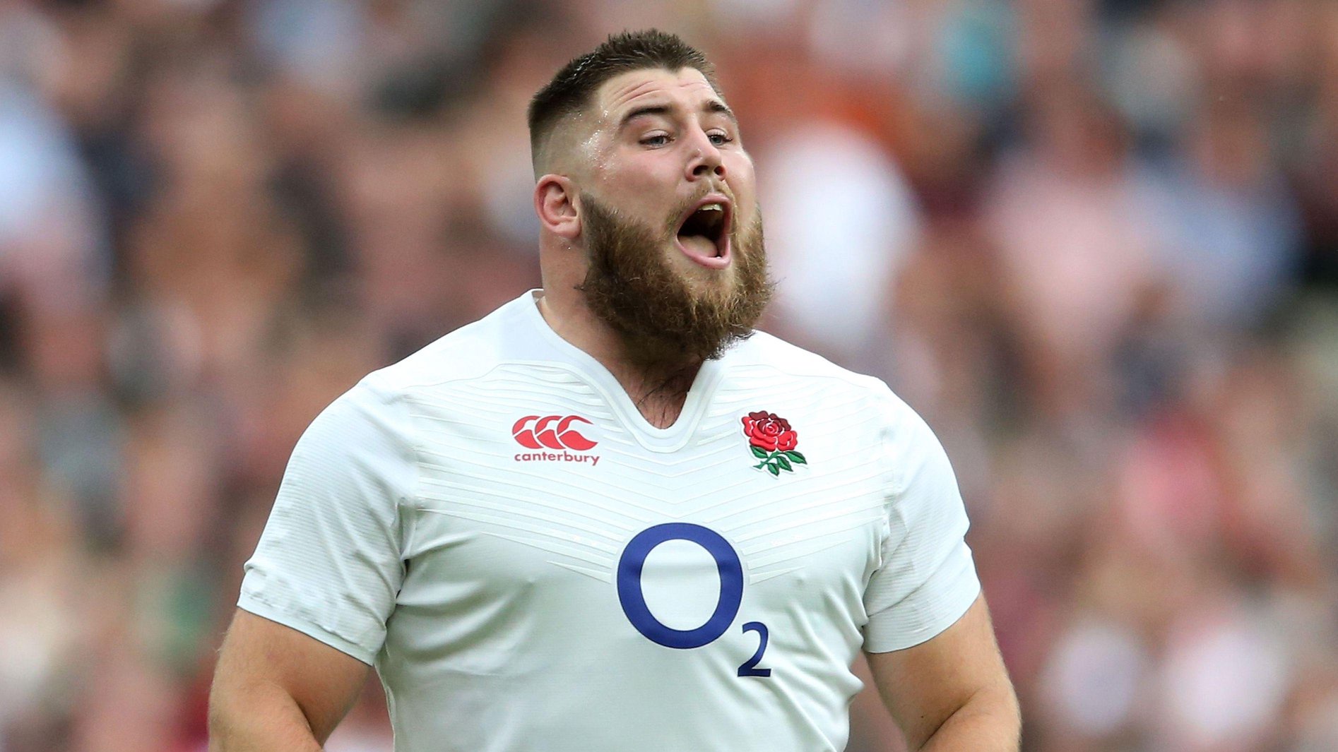 Kieran Brookes