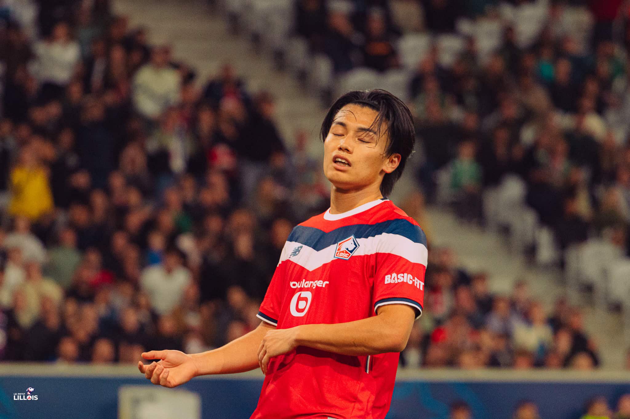 Ayase Ueda, attaquant du LOSC.