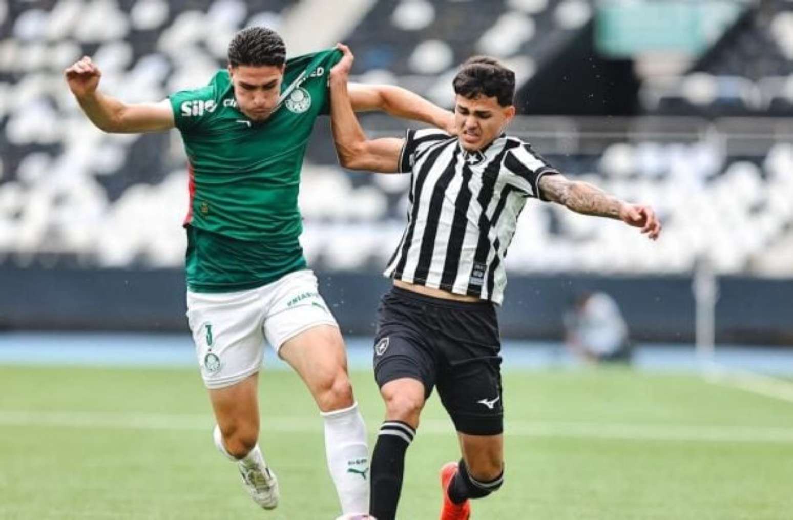 Botafogo não foi páreo para o Palmeiras –