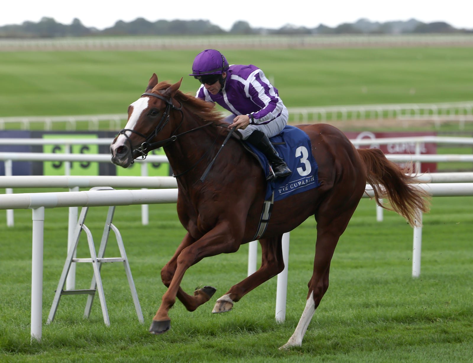 Noble Exhibit will be difficult to oppose in the William Hill Futurity Trophy at Doncaster. Photograph: Damien Eagers/PA