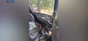 Family stunned to find a bear wrecking the inside of their car