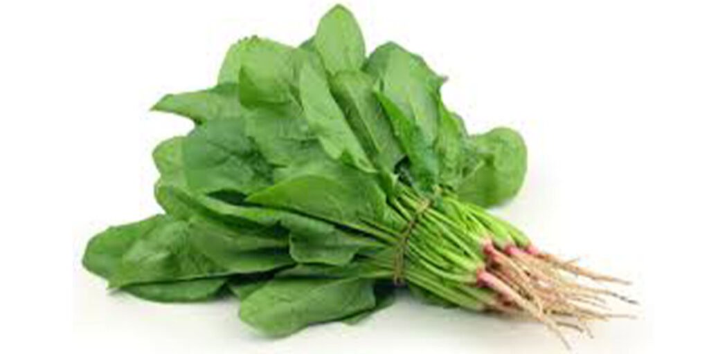 spinach