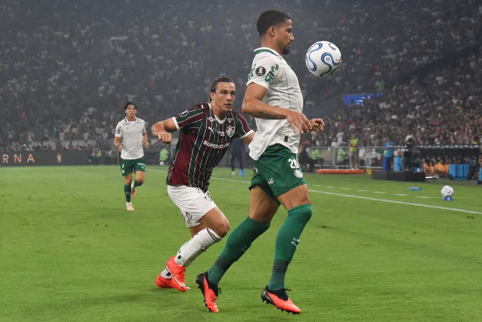 Tarólogo projeta jogo difícil entre Palmeiras e Fluminense (Foto: Marcelo Fonseca/Folhapress)