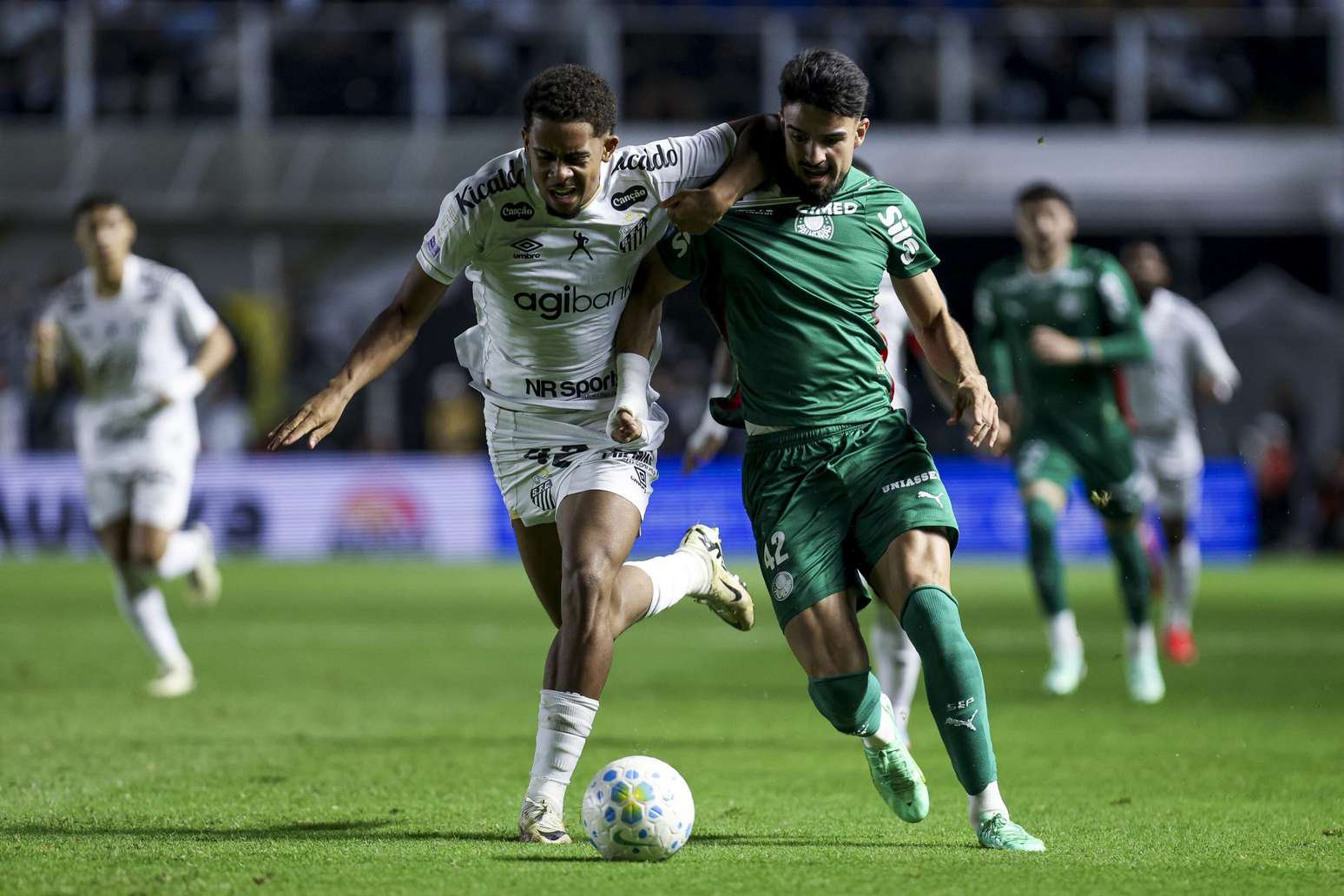 Santos v Palmeiras 