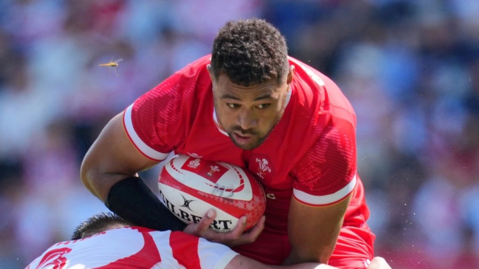 Taulupe Faletau