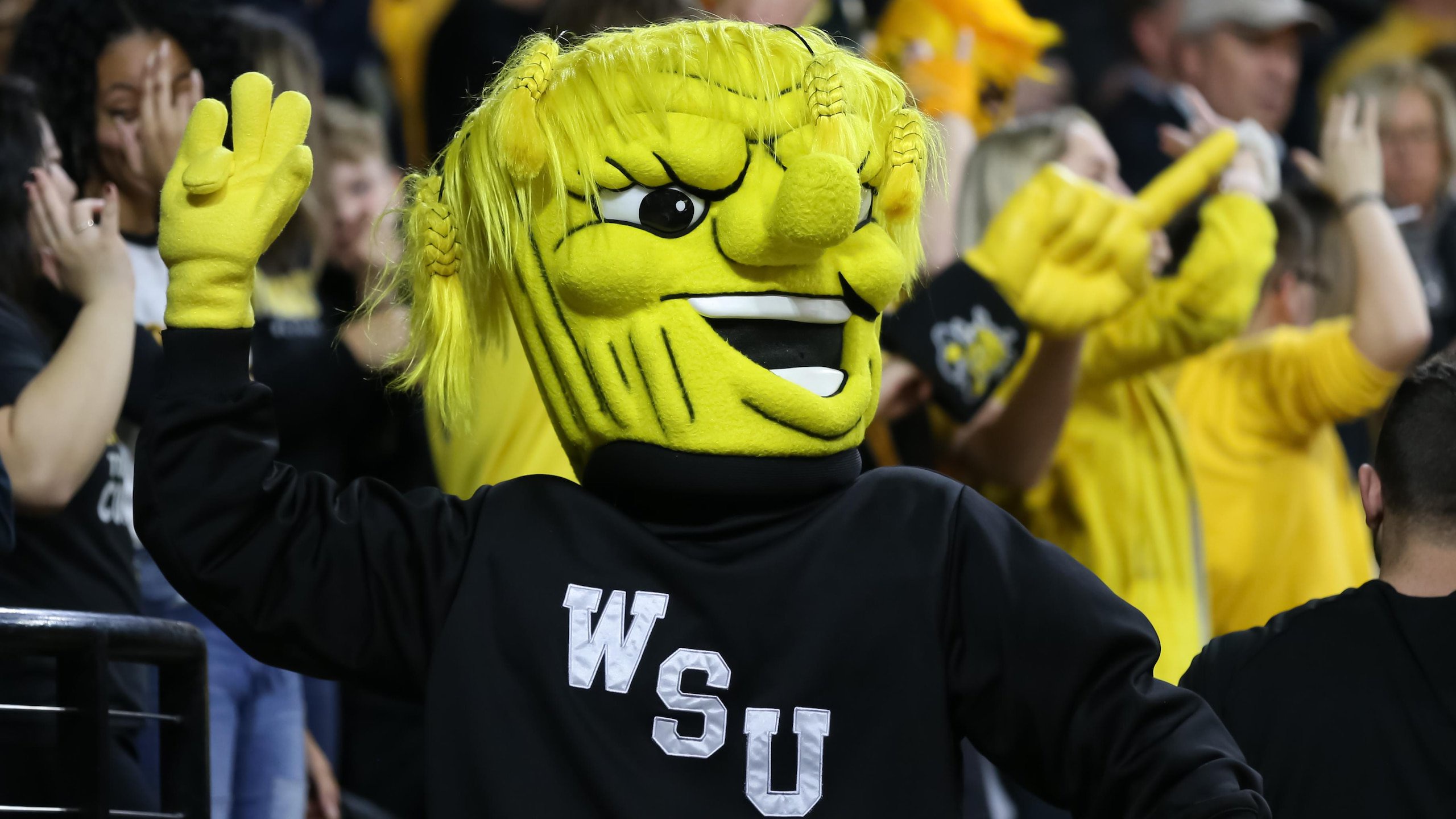 COLLEGE BASKETBALL: FEB 06 Cincinnati at Wichita State