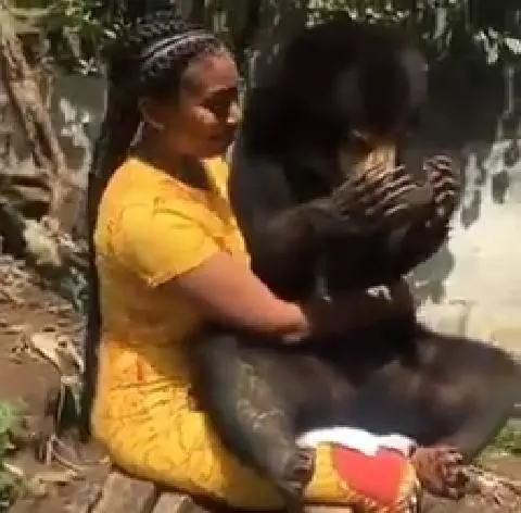 Pictures Woman With Animal Kìssíng