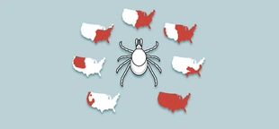 Where are ticks found? Maps show where the disease-carrying insects live