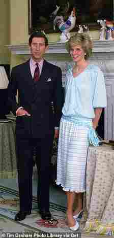 The pale blue dress was part of the Kanga line, a clothing collection designed by Charles's ex lover, Dale Tyron
