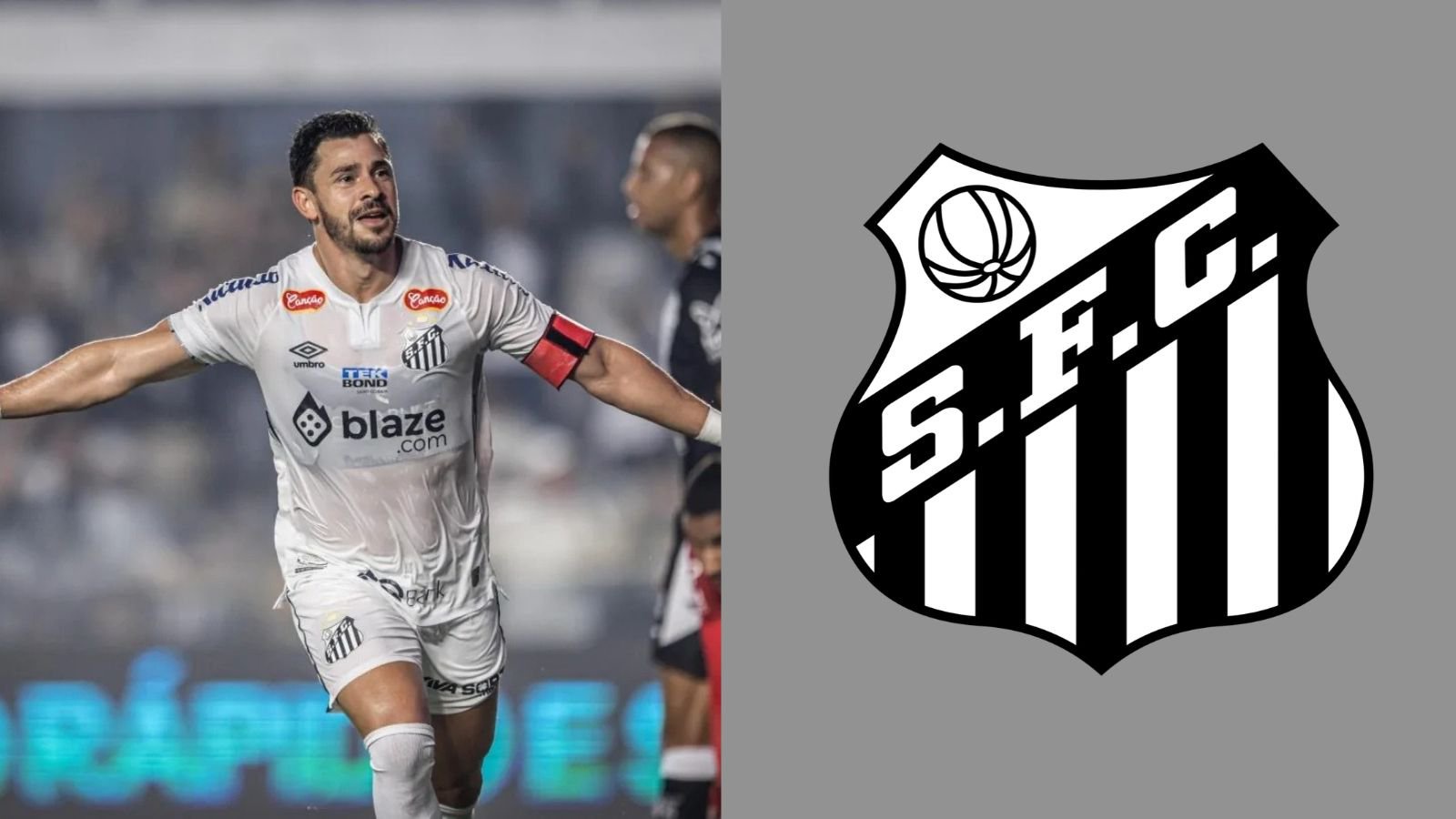 Foto: Raul Baretta / Santos FC