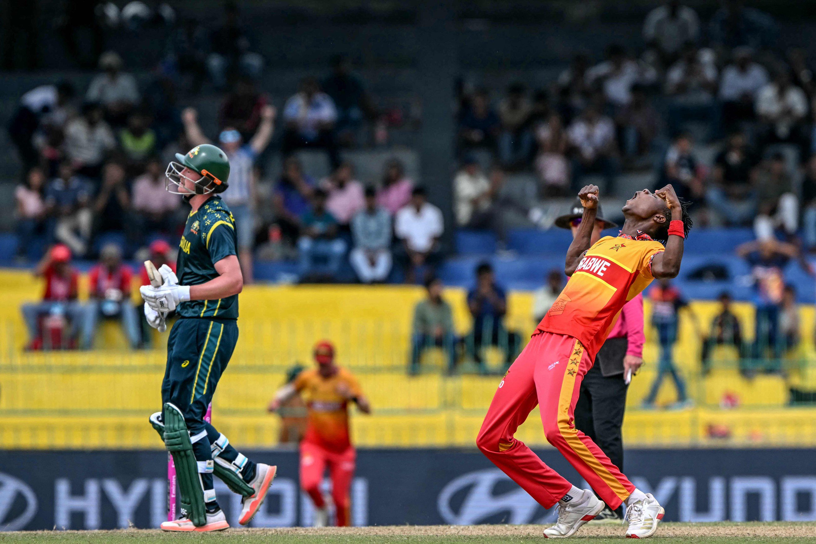 Zimbabwe stun Australia to stay unbeaten in T20 World Cup