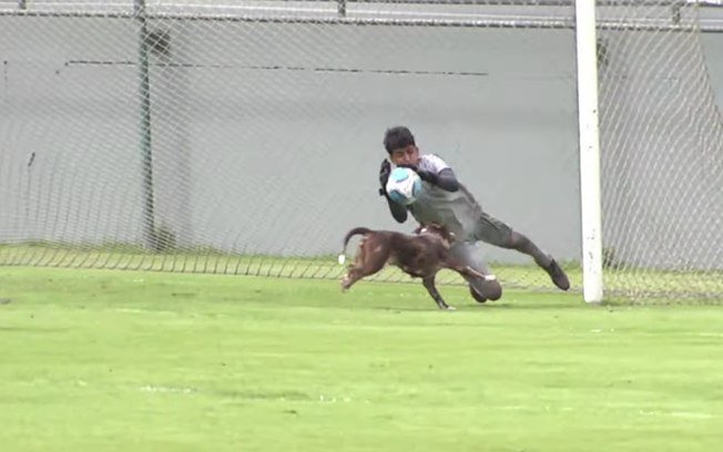 Cachorro quase desviou um cruzamento em jogo do Vasco contra o Madureira