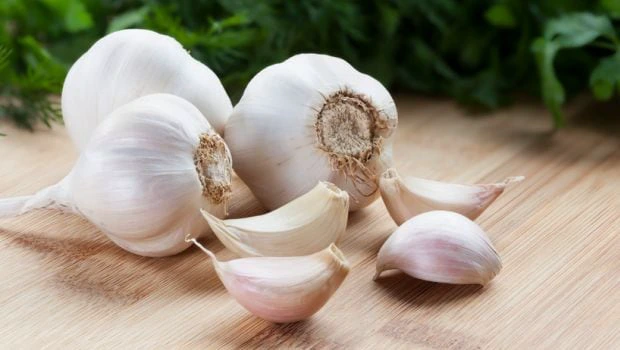 5 Mistakes You Might Be Making When You Using Garlic For Medicinal Purposes cc214d233a044e4a934c95dcac29d1d7 quality uhq format webp resize 720