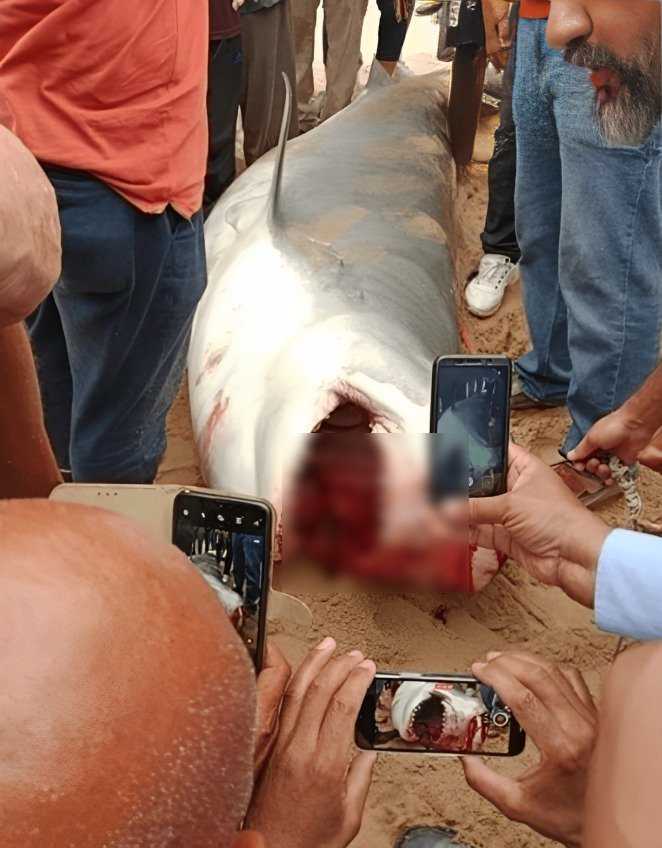 352531033 690479969784025 1414424588688801430 n.jpg? nc cat=1&ccb=1 7& nc sid=730e14& nc eui2=AeEuiNerY67gI4MLS1T9JPeQm7IxYu2eBVebsjFi7Z4FV qu5kLxo7NfAInq1YZnQgM& nc ohc=40KPolfkV3oAX Eih68& nc ht=scontent.fcmn3 1 - مشاهد 24