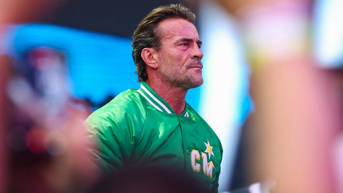 Undisputed WWE Champion CM Punk