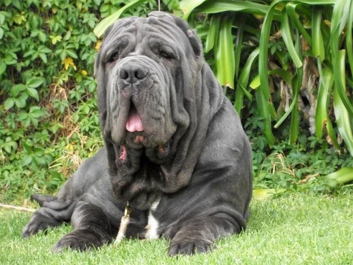 cd5bacf57d6ef13b231ead1a1893186c?quality=uhq&format=webp&resize=720