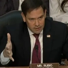 Florida Sen. Rubio Calls For Probe Into ‘Shein’ And ‘Temu’ For Horrific Slave Labor Practices