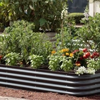 The 10 best raised garden beds to grow vegetables, fruits, herbs and flowers