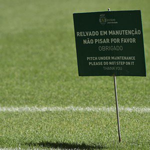 Novo relvado híbrido
