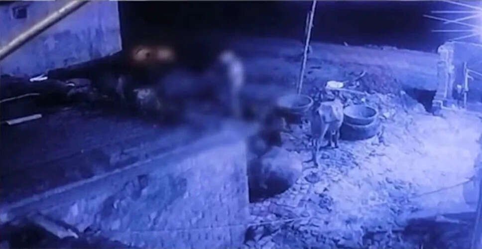 उत्तर प्रदेश में भैंस के साथ दुष्कर्म की घटना, CCTV में कैद