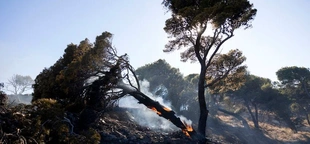 Greece deploys foreign firefighters for the third year running to help tackle wildfires