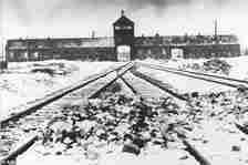 Early anthropology, building on theories of racial differences between peoples, was used to justify views on racial superiority, later used by the Nazis. Pictured: Auschwitz camp, 1945