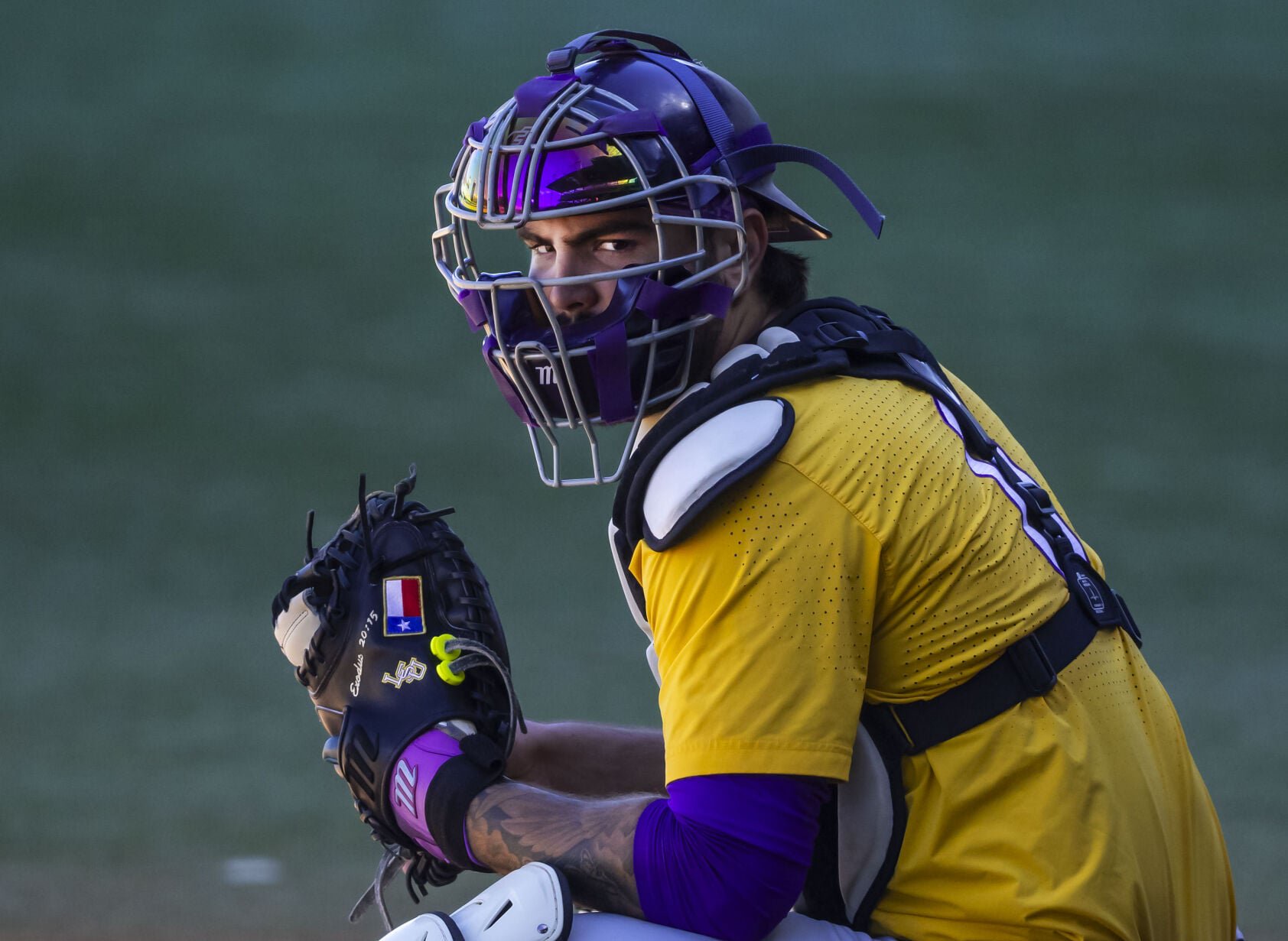 BR.lsufallbaseball2.adv_2547 MJ.JPG