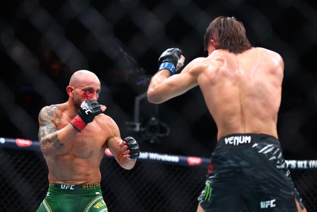 Volkanovski in April 2025