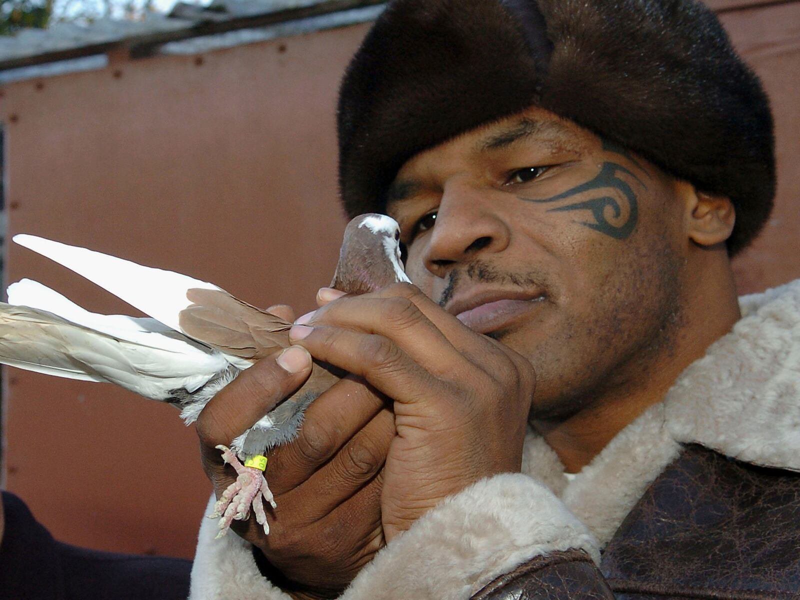 WALSALL, UNITED KINGDOM - NOVEMBER 18:  Former world heavyweight boxing champion Mike Tyson meets up with a pigeon fancier Horace Potts (L), of Bloxwich, Walsall, West Midlands on November 18, 2005 in Walsall, England. Tyson who is well known for his love of pigeons dropped in to the home of pigeon fancier Horace Watts whilst on route to Birmingham, England, for a hotel dinner boxing event.  (Photo by Stringer/Getty Images)