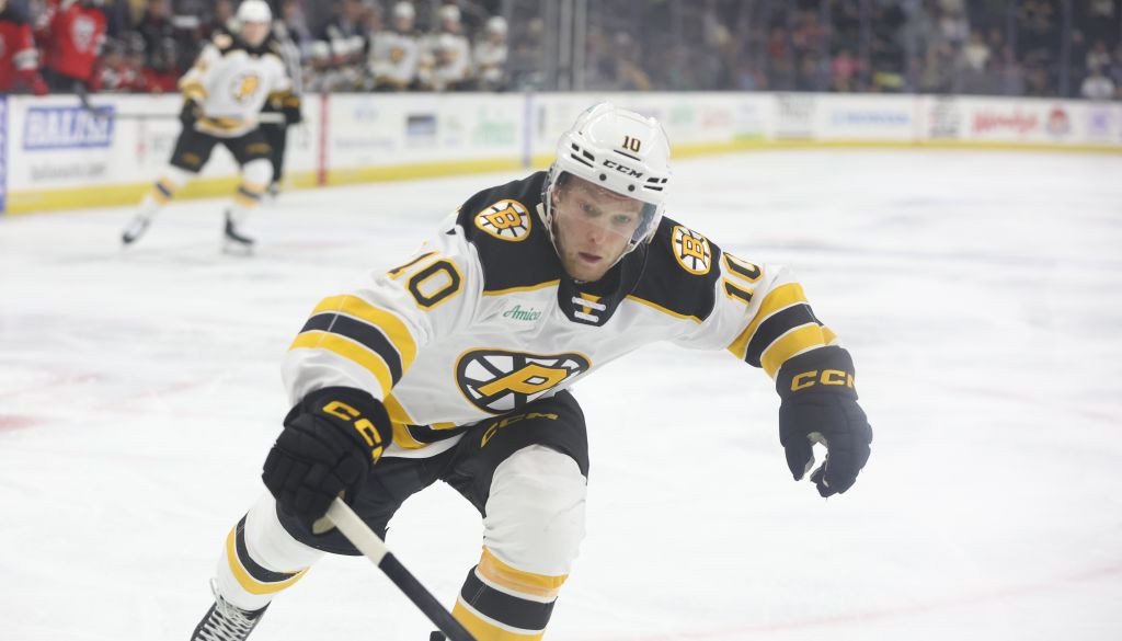 Dans locmelis foto bruins flickl